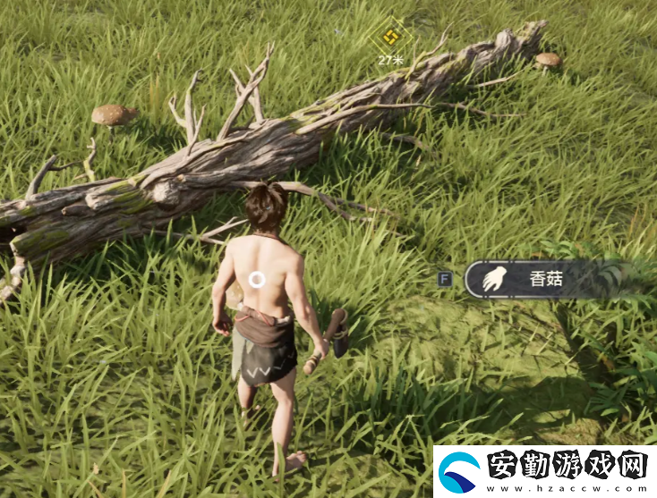 荒野起源探索攻略