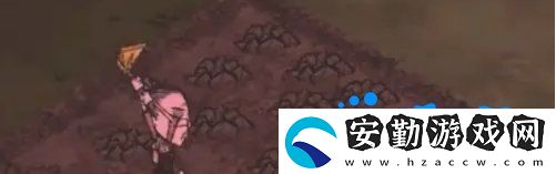 饑荒蜘蛛人怎么種地