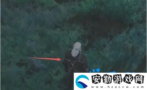 巫師3燕子魔藥怎么獲得