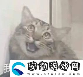 不像我只會(huì)心疼giegie梗的意思介紹
