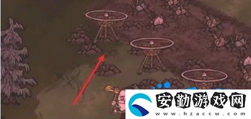 饑荒蜘蛛人怎么種地