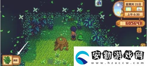 星露谷物語蕨菜怎么獲取