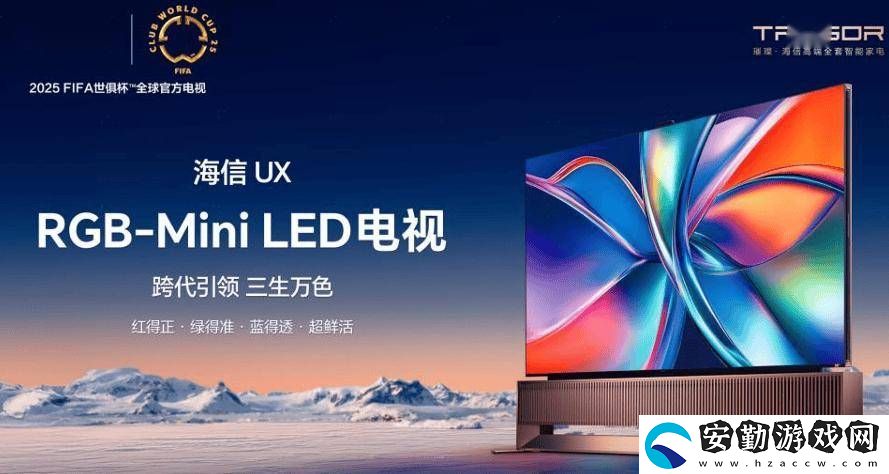 海信視像2024年財報亮點(diǎn)