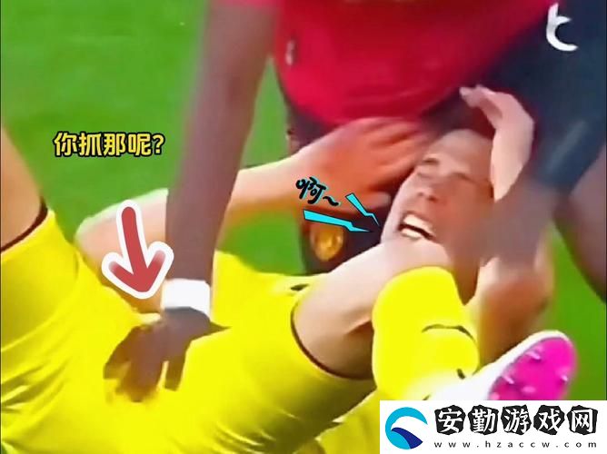 兩個(gè)球球抖動(dòng)視頻抓球球