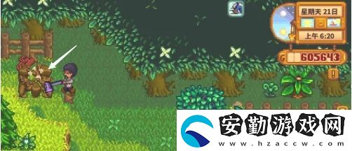 星露谷物語蕨菜怎么獲取