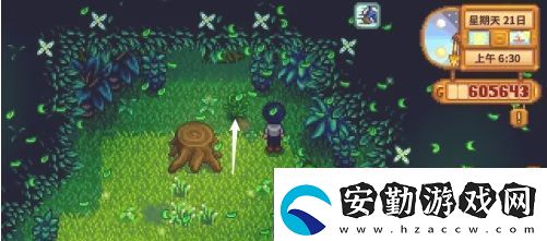 星露谷物語蕨菜怎么獲取