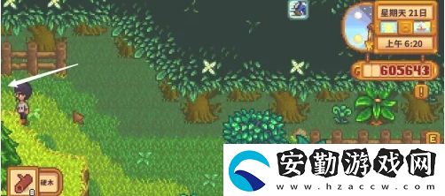 星露谷物語蕨菜怎么獲取