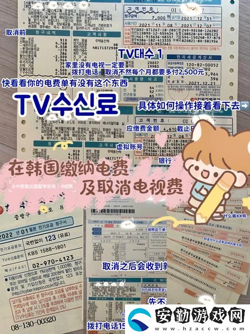 探索趨勢(shì)與美感