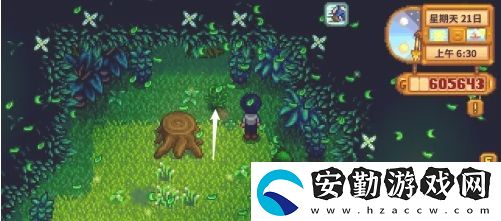 星露谷物語蕨菜怎么獲取