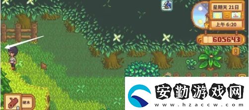 星露谷物語蕨菜怎么獲取