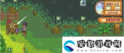 星露谷物語蕨菜怎么獲取