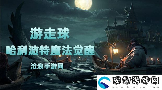 哈利波特魔法覺醒游走球卡牌介紹
