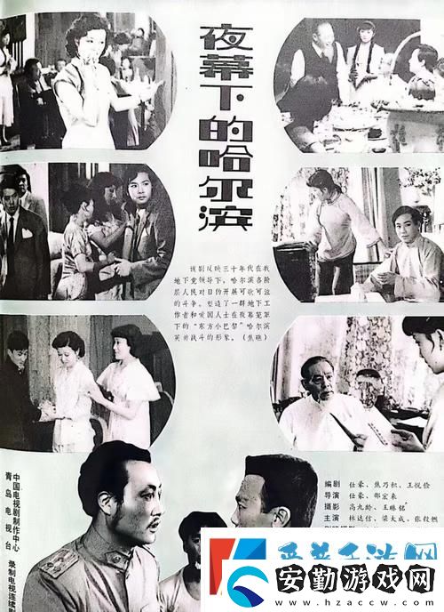 探索“丁香花影院免費(fèi)觀看電視劇哈爾濱”的魅力與獨(dú)特體驗(yàn)