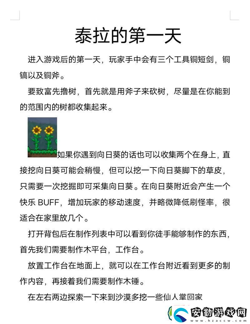 泰拉瑞亞