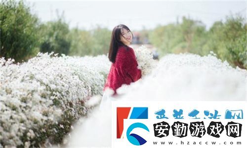妻子6在線觀看免費版電視劇