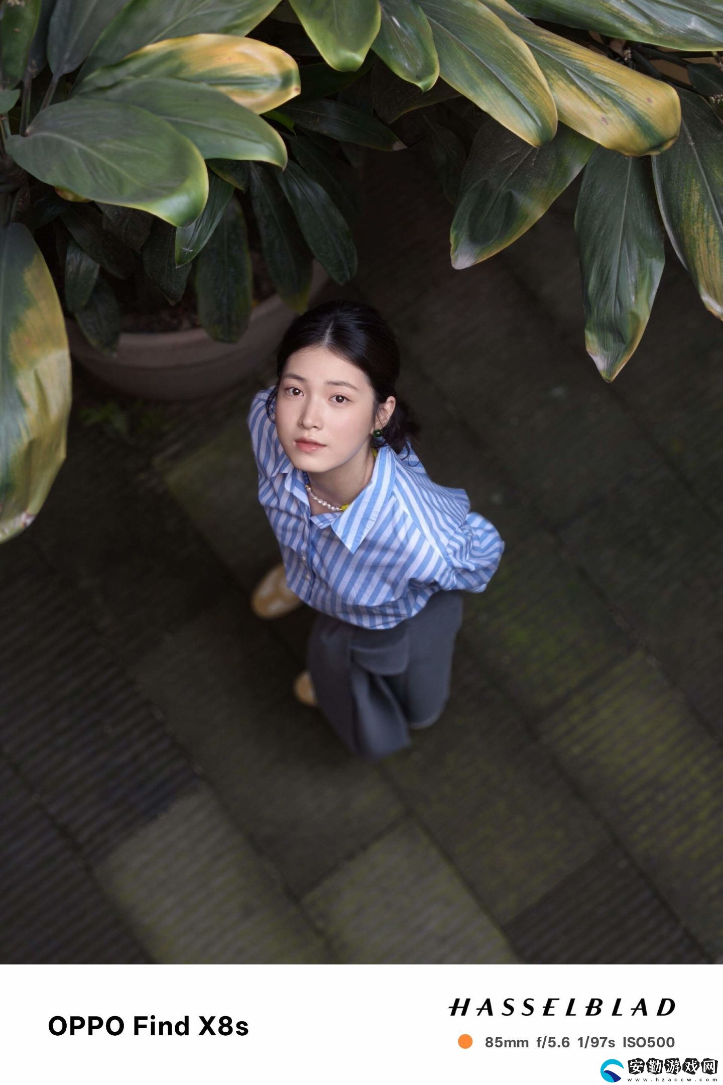 【IT之家評(píng)測(cè)室】OPPO